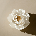 Incense Holder - Lotus style - TAOCASA